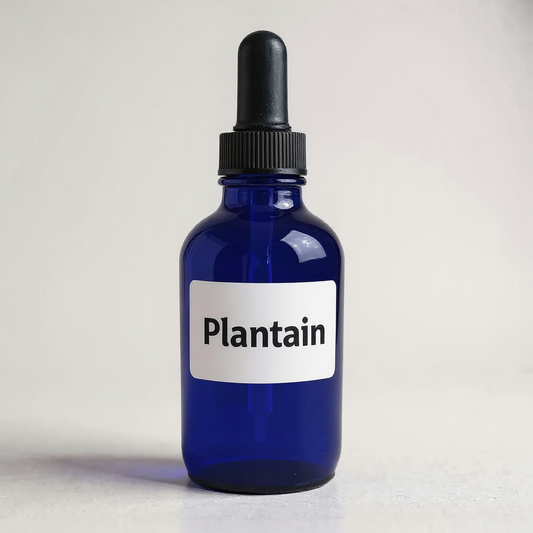 Organic Plantain Tincture